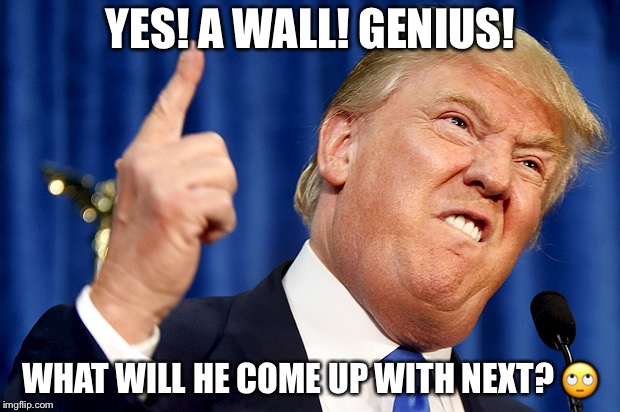 Really Donald?! | YES! A WALL! GENIUS! WHAT WILL HE COME UP WITH NEXT? 🙄 | image tagged in donald trump,memes,funny,too funny,politically incorrect,really | made w/ Imgflip meme maker