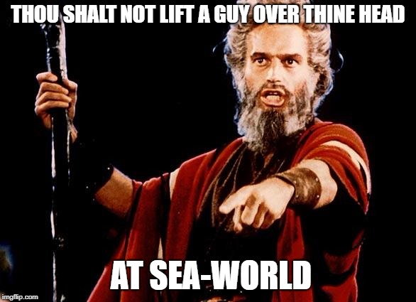 THOU SHALT NOT LIFT A GUY OVER THINE HEAD AT SEA-WORLD | made w/ Imgflip meme maker
