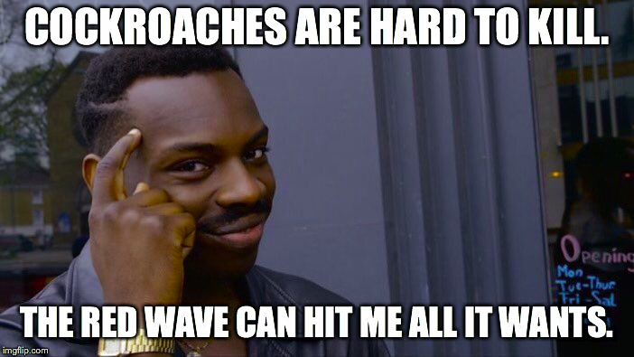 Roll Safe Think About It Meme | COCKROACHES ARE HARD TO KILL. THE RED WAVE CAN HIT ME ALL IT WANTS. | image tagged in memes,roll safe think about it | made w/ Imgflip meme maker