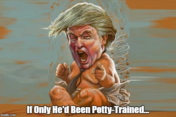 If Only He'd Been Potty-Trained... | made w/ Imgflip meme maker