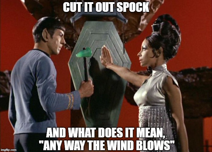 Doesn't Really Matter, To Meeeee | CUT IT OUT SPOCK; AND WHAT DOES IT MEAN, "ANY WAY THE WIND BLOWS" | image tagged in memes | made w/ Imgflip meme maker