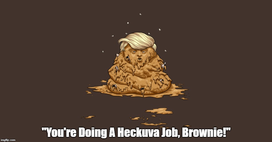 "You're Doing A Heckuva Job, Brownie!" | "You're Doing A Heckuva Job, Brownie!" | image tagged in deplorable donald,despicable donald,devious donald,dishonorable donald,dishonest donald,dodgy donald | made w/ Imgflip meme maker