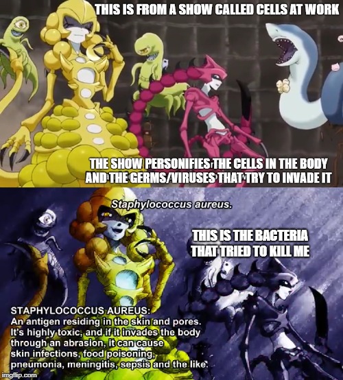 I nearly died because of this. (also the anime is very informative) | THIS IS THE BACTERIA THAT TRIED TO KILL ME | image tagged in cells at work | made w/ Imgflip meme maker