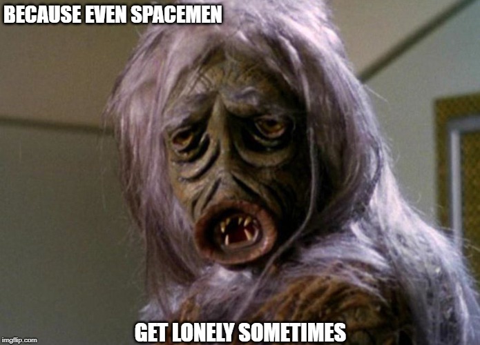 The Doll Was On Sale In the Ship's Store | BECAUSE EVEN SPACEMEN; GET LONELY SOMETIMES | image tagged in memes | made w/ Imgflip meme maker