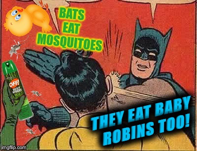 BATS EAT MOSQUITOES THEY EAT BABY ROBINS TOO! | made w/ Imgflip meme maker