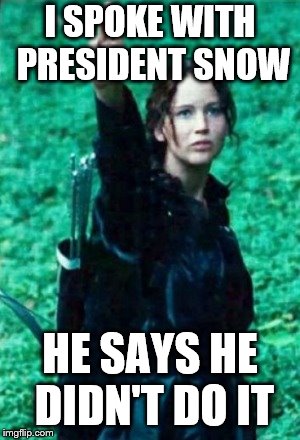Hunger games | I SPOKE WITH PRESIDENT SNOW; HE SAYS HE DIDN'T DO IT | image tagged in hunger games | made w/ Imgflip meme maker