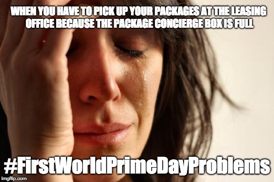 First World Problems Meme | WHEN YOU HAVE TO PICK UP YOUR PACKAGES AT THE LEASING OFFICE BECAUSE THE PACKAGE CONCIERGE BOX IS FULL; #FirstWorldPrimeDayProblems | image tagged in memes,first world problems,scumbag | made w/ Imgflip meme maker