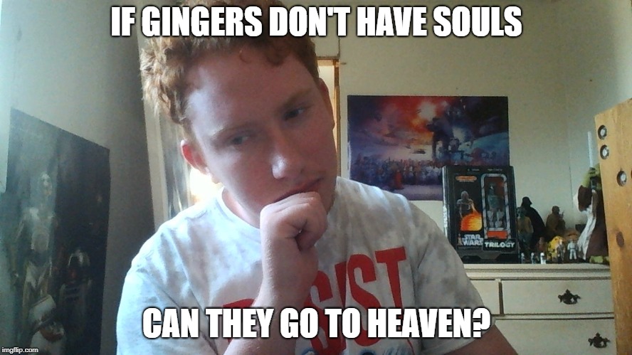 Questioning Ginger  | IF GINGERS DON'T HAVE SOULS; CAN THEY GO TO HEAVEN? | image tagged in memes,funny memes | made w/ Imgflip meme maker