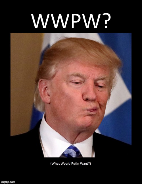 What Would Putin Want | image tagged in trump,maga | made w/ Imgflip meme maker