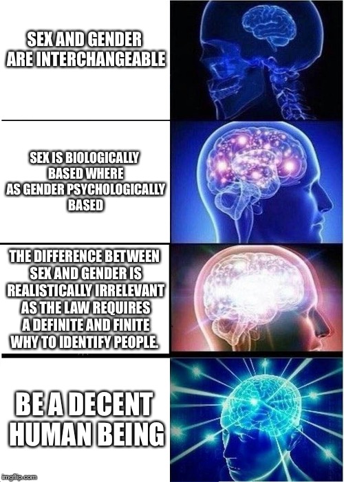 Expanding Brain | SEX AND GENDER ARE INTERCHANGEABLE; SEX IS BIOLOGICALLY BASED WHERE AS GENDER PSYCHOLOGICALLY BASED; THE DIFFERENCE BETWEEN SEX AND GENDER IS REALISTICALLY IRRELEVANT AS THE LAW REQUIRES A DEFINITE AND FINITE WHY TO IDENTIFY PEOPLE. BE A DECENT HUMAN BEING | image tagged in memes,expanding brain | made w/ Imgflip meme maker