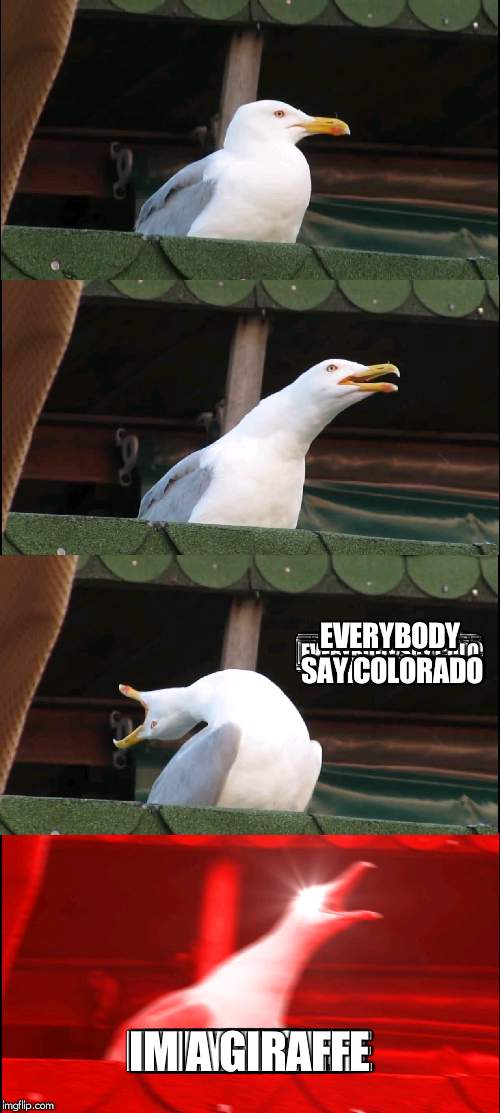 Inhaling Seagull Meme | EVERYBODY SAY COLORADO; IM A GIRAFFE | image tagged in memes,inhaling seagull | made w/ Imgflip meme maker