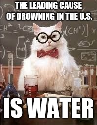 SMART CAT | THE LEADING CAUSE OF DROWNING IN THE U.S. IS WATER | image tagged in smart cat | made w/ Imgflip meme maker
