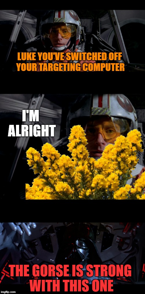 The force is strong with this one | LUKE YOU'VE SWITCHED OFF YOUR TARGETING COMPUTER; I'M ALRIGHT; THE GORSE IS STRONG WITH THIS ONE | image tagged in star wars | made w/ Imgflip meme maker