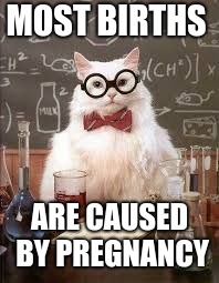 SMART CAT | MOST BIRTHS; ARE CAUSED BY PREGNANCY | image tagged in smart cat | made w/ Imgflip meme maker