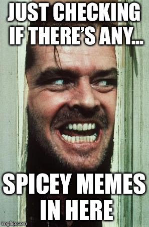 Here's Johnny | JUST CHECKING IF THERE’S ANY... SPICEY MEMES IN HERE | image tagged in memes,heres johnny | made w/ Imgflip meme maker