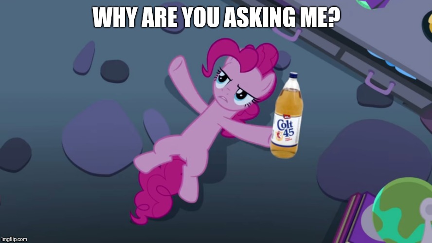 WHY ARE YOU ASKING ME? | image tagged in mad pinkie | made w/ Imgflip meme maker