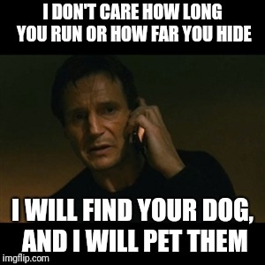 Liam Neeson Taken Meme | I DON'T CARE HOW LONG YOU RUN OR HOW FAR YOU HIDE; I WILL FIND YOUR DOG, AND I WILL PET THEM | image tagged in memes,liam neeson taken | made w/ Imgflip meme maker