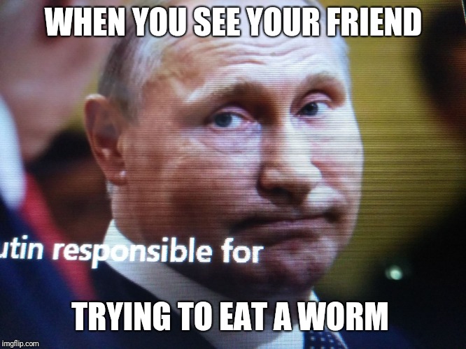 WHEN YOU SEE YOUR FRIEND; TRYING TO EAT A WORM | image tagged in putin's face at trump | made w/ Imgflip meme maker