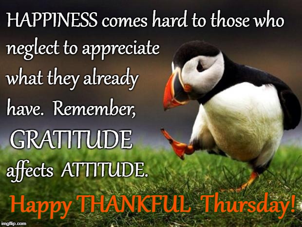 Happy THANKFUL Thursday | HAPPINESS comes hard to those who; neglect to appreciate; what they already; have.  Remember, GRATITUDE; affects  ATTITUDE. Happy THANKFUL  Thursday! | image tagged in happiness,gratitude,attitude,appreciate | made w/ Imgflip meme maker