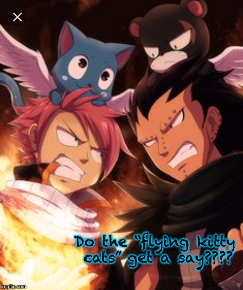 Flying kitty cats!! | Do the “flying kitty cats” get a say???? | image tagged in fairy tail,cats | made w/ Imgflip meme maker