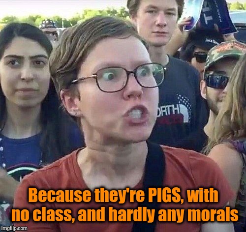 foggy | Because they're PIGS, with no class, and hardly any morals | image tagged in triggered feminist | made w/ Imgflip meme maker
