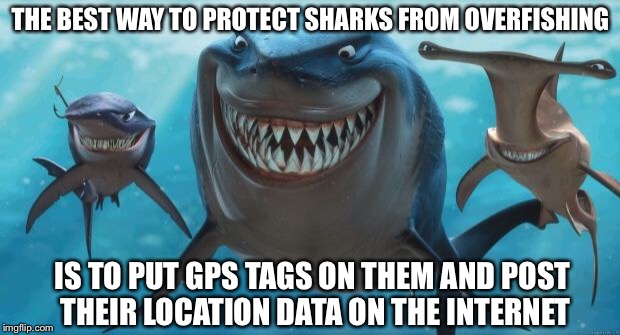 Happy Shark Week | THE BEST WAY TO PROTECT SHARKS FROM OVERFISHING; IS TO PUT GPS TAGS ON THEM AND POST THEIR LOCATION DATA ON THE INTERNET | image tagged in finding nemo sharks,memes,not funny,shark week,environment,human stupidity | made w/ Imgflip meme maker