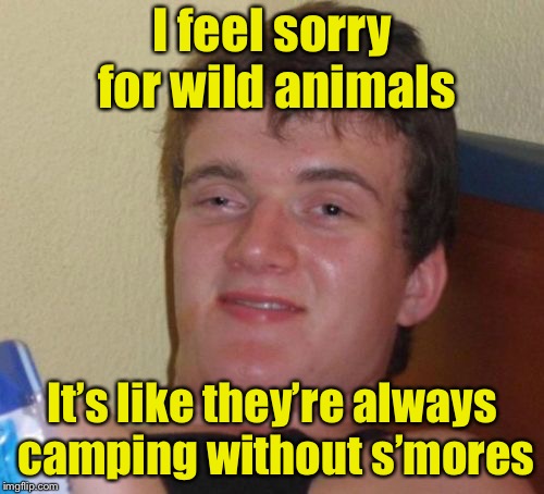 10 Guy Meme | I feel sorry for wild animals; It’s like they’re always camping without s’mores | image tagged in memes,10 guy | made w/ Imgflip meme maker