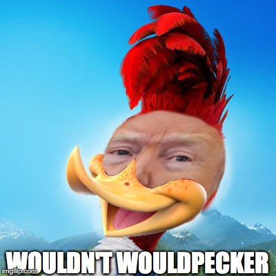 Wouldn't WouldPecker | WOULDN'T WOULDPECKER | image tagged in wouldn't wouldpecker | made w/ Imgflip meme maker