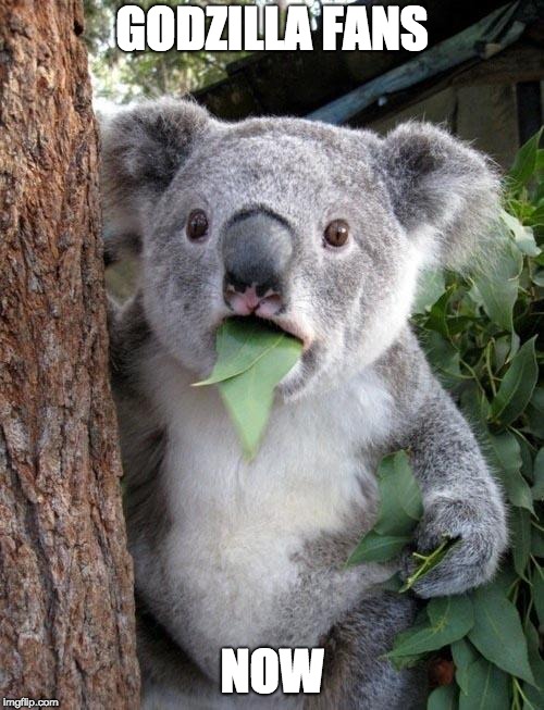 Suprised Koala | GODZILLA FANS; NOW | image tagged in suprised koala | made w/ Imgflip meme maker