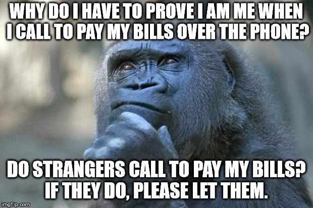 One of life's great mysteries. I any of you want to pay my bills, please feel free to do so. | WHY DO I HAVE TO PROVE I AM ME WHEN I CALL TO PAY MY BILLS OVER THE PHONE? DO STRANGERS CALL TO PAY MY BILLS? IF THEY DO, PLEASE LET THEM. | image tagged in that is the question | made w/ Imgflip meme maker