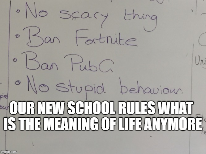 my new school rules | OUR NEW SCHOOL RULES WHAT IS THE MEANING OF LIFE ANYMORE | image tagged in fortnite meme,pubg,dank memes | made w/ Imgflip meme maker