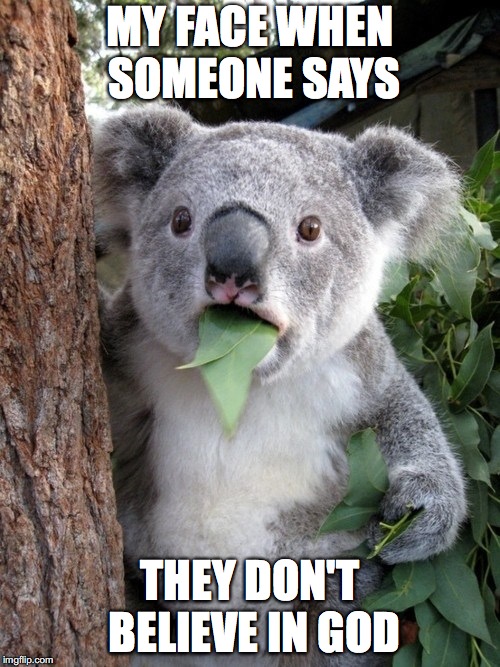 Surprised Koala | MY FACE WHEN SOMEONE SAYS; THEY DON'T BELIEVE IN GOD | image tagged in memes,surprised coala | made w/ Imgflip meme maker