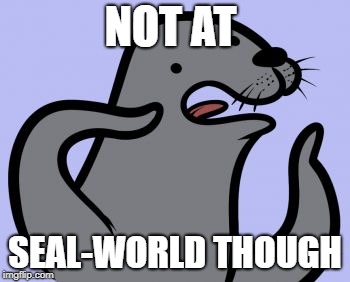 Homophobic Seal Meme | NOT AT SEAL-WORLD THOUGH | image tagged in memes,homophobic seal | made w/ Imgflip meme maker