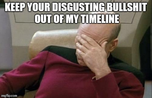 Captain Picard Facepalm Meme | KEEP YOUR DISGUSTING BULLSHIT OUT OF MY TIMELINE | image tagged in memes,captain picard facepalm | made w/ Imgflip meme maker