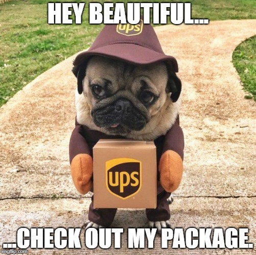 check out my package | HEY BEAUTIFUL... ...CHECK OUT MY PACKAGE. | image tagged in pug package | made w/ Imgflip meme maker