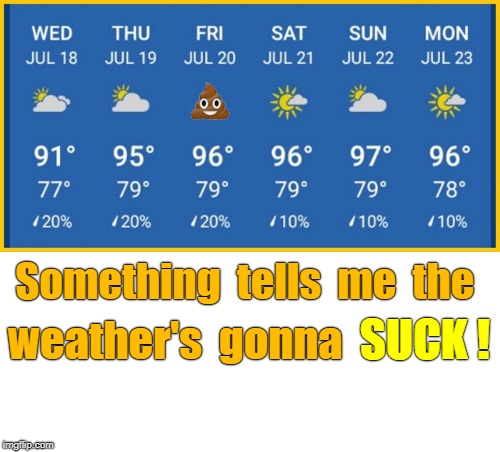 Weather Report | Something  tells  me  the; SUCK ! weather's  gonna | image tagged in memes,weather,poop emoji | made w/ Imgflip meme maker