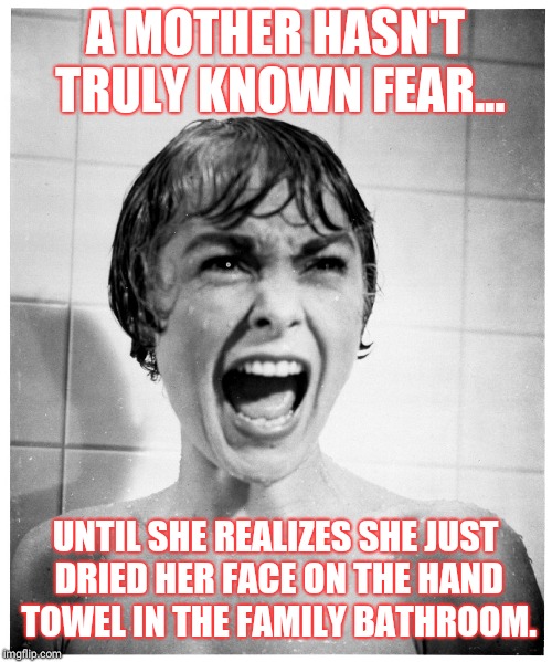 Psycho Shower | A MOTHER HASN'T TRULY KNOWN FEAR... UNTIL SHE REALIZES SHE JUST DRIED HER FACE ON THE HAND TOWEL IN THE FAMILY BATHROOM. | image tagged in psycho shower | made w/ Imgflip meme maker