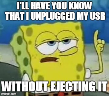 I'll Have You Know Spongebob Meme | I'LL HAVE YOU KNOW THAT I UNPLUGGED MY USB; WITHOUT EJECTING IT | image tagged in memes,ill have you know spongebob | made w/ Imgflip meme maker