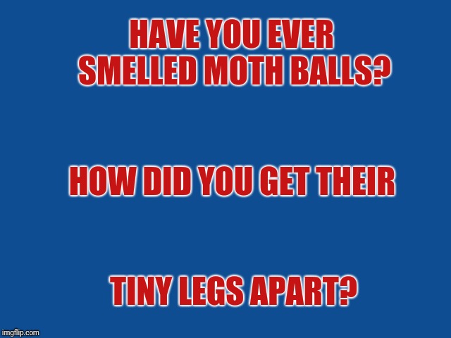 Slate Blue Solid Color Background  | HAVE YOU EVER SMELLED MOTH BALLS? HOW DID YOU GET THEIR; TINY LEGS APART? | image tagged in slate blue solid color background | made w/ Imgflip meme maker