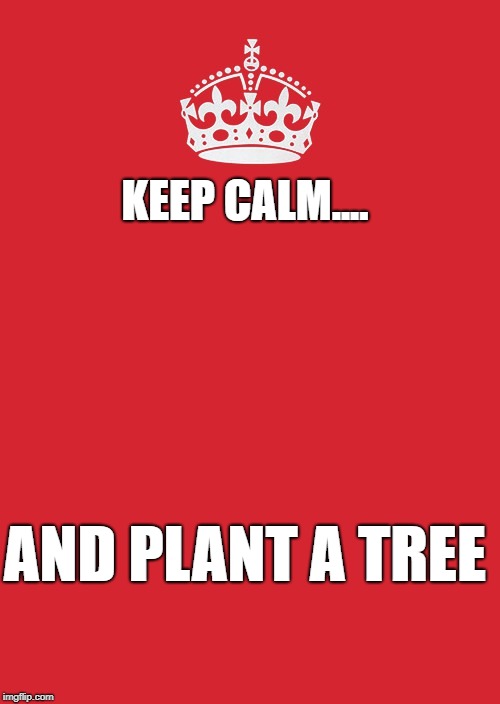 Keep Calm And Carry On Red | KEEP CALM.... AND PLANT A TREE | image tagged in memes,keep calm and carry on red | made w/ Imgflip meme maker