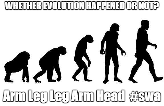 Human Evolution | WHETHER EVOLUTION HAPPENED OR NOT? Arm Leg Leg Arm Head

#swa | image tagged in human evolution | made w/ Imgflip meme maker