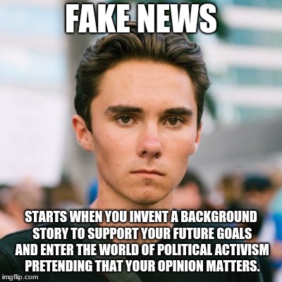 David Hogg | FAKE NEWS; STARTS WHEN YOU INVENT A BACKGROUND STORY TO SUPPORT YOUR FUTURE GOALS AND ENTER THE WORLD OF POLITICAL ACTIVISM PRETENDING THAT YOUR OPINION MATTERS. | image tagged in david hogg | made w/ Imgflip meme maker