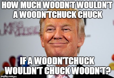 Donald trump approves | HOW MUCH WOODN'T WOULDN'T A WOODN'TCHUCK CHUCK; IF A WOODN'TCHUCK WOULDN'T CHUCK WOODN'T? | image tagged in donald trump approves | made w/ Imgflip meme maker