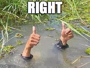FLOODING THUMBS UP | RIGHT | image tagged in flooding thumbs up | made w/ Imgflip meme maker