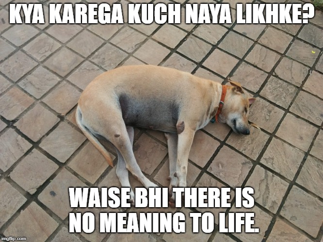 Stop Plagiarism | KYA KAREGA KUCH NAYA LIKHKE? WAISE BHI THERE IS NO MEANING TO LIFE. | image tagged in dogs | made w/ Imgflip meme maker