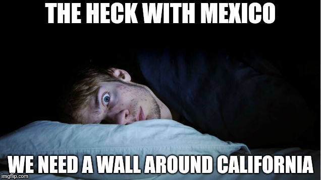 Night Terror | THE HECK WITH MEXICO WE NEED A WALL AROUND CALIFORNIA | image tagged in night terror | made w/ Imgflip meme maker