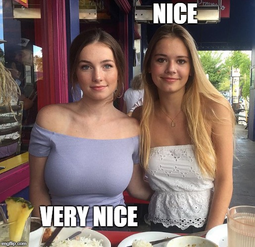 how you describe your female friends | NICE; VERY NICE | image tagged in nice,boobies | made w/ Imgflip meme maker