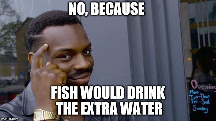 Roll Safe Think About It Meme | NO, BECAUSE FISH WOULD DRINK THE EXTRA WATER | image tagged in memes,roll safe think about it | made w/ Imgflip meme maker