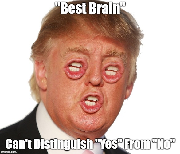 "Best Brain" Can't Distinguish "Yes" From "No" | made w/ Imgflip meme maker