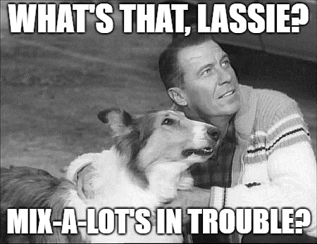 What's that Lassie? | WHAT'S THAT, LASSIE? MIX-A-LOT'S IN TROUBLE? | image tagged in what's that lassie | made w/ Imgflip meme maker